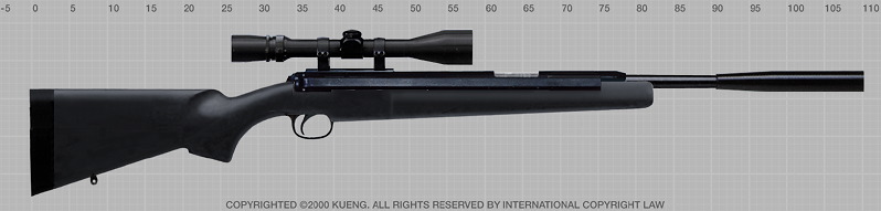 Diana 48 Black Hawk Custom (by Kueng AirGun Design)