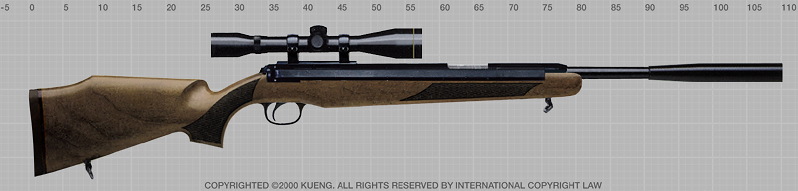 Diana 48 Falcon Custom (by Kueng AirGun Design)